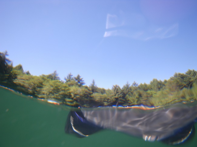 laketir.jpg
