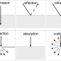 lightbehavior.png