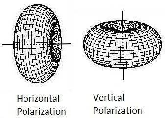 polarization.1604881038.jpg