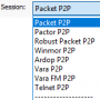 p2popensession.png